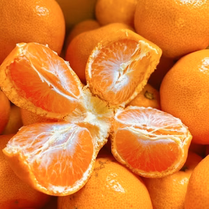  【ご家庭用】冬の定番、大人気！有田みかん！