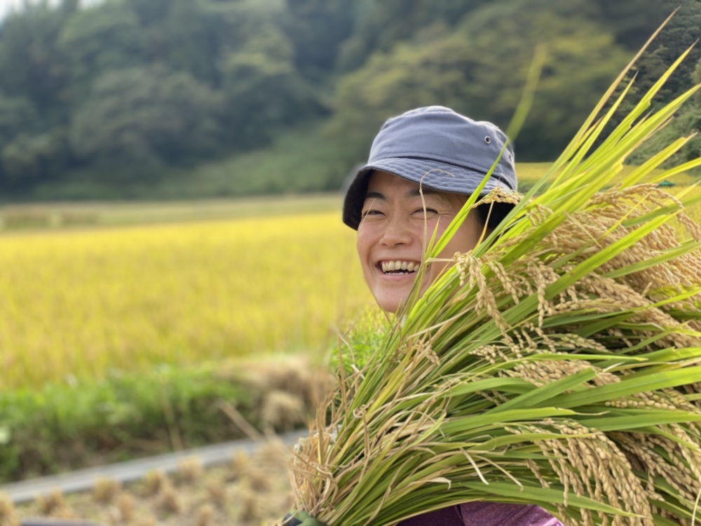 G様専用　ササシグレ　10キロ  農薬・肥料不使用・天日乾燥