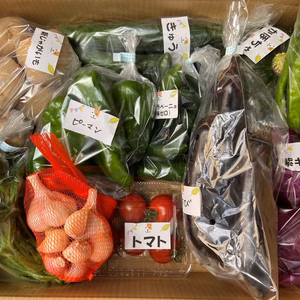 【2～3人様】たくさん！掘りたて！お料理好き野菜詰め合わせ☆和歌山南国よりお届け