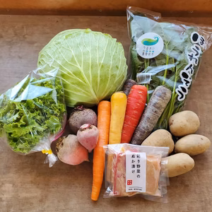うるおい春夏秋冬　お試し野菜セット（漬物入り）