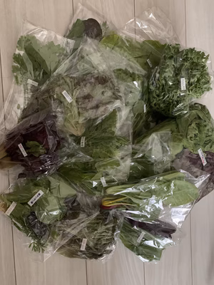 みんなの投稿の画像