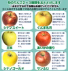 今が旬！ 訳あり小玉 食べ比べ 旬のりんごセット 約2.5キロ 2〜3種類