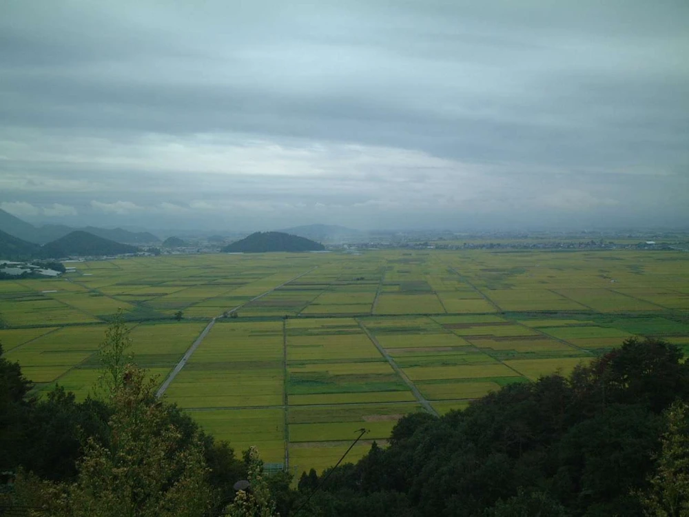 「精米」４品種食べ比べセット　山形県高畠から発送