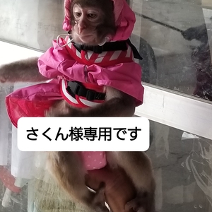 さくん様専用です。