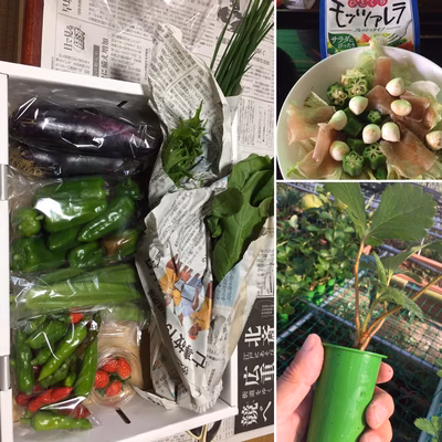 みんなの投稿の画像