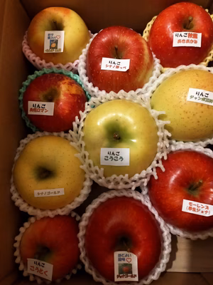 みんなの投稿の画像