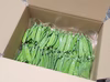 信州四賀より。【絹さやえんどう】500g