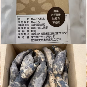 レンコン土付き徳用Sサイズ2㎏＆レンコンパウダー100g✖️1袋