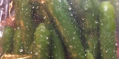 農家レシピ ー青唐辛子料理３品ー