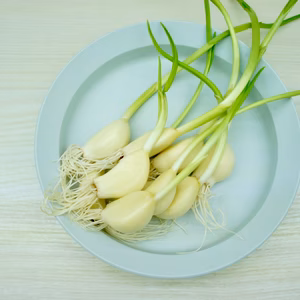 【7周年福袋】発芽にんにく福袋無料おまけ付き！※30本+訳アリ5本セット　