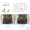 【数量限定】“4種のさやま白茶” 2023年手摘み 新茶／完売／来年も販売予定