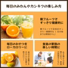 みかんのサブスク｜定期便（頒布会）始めました。毎月旬のカンキツを産地直送でお届け