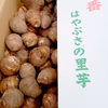 ねっとりホクホク♪サイズ色々里芋【5kg】