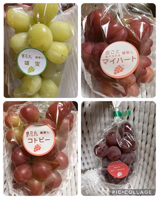 みんなの投稿の画像