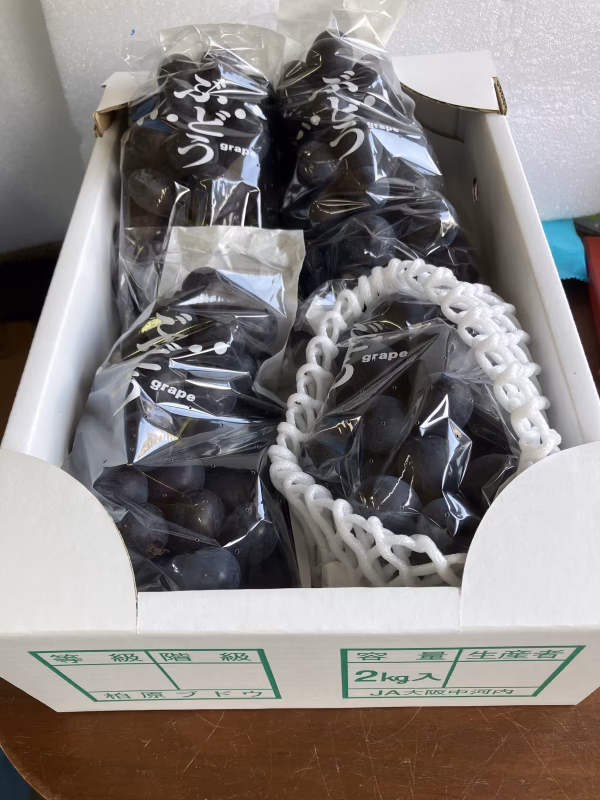 【昔懐かしの定番ブドウ】マスカットベリーA 2kg箱