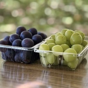 信州の粒ブドウセット【シャインマスカット】×【ピオーネ】[SmPn]