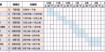 キャベツの品種は何百種類もあるんです！