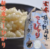 新潟県産　スーパーコシヒカリ   5kg  (玄米) 令和4年産