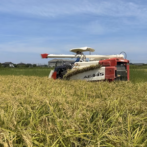 令和7年産新米【あきたこまち玄米10㎏】を農家直送でお届け