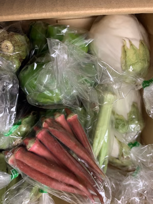 みんなの投稿の画像