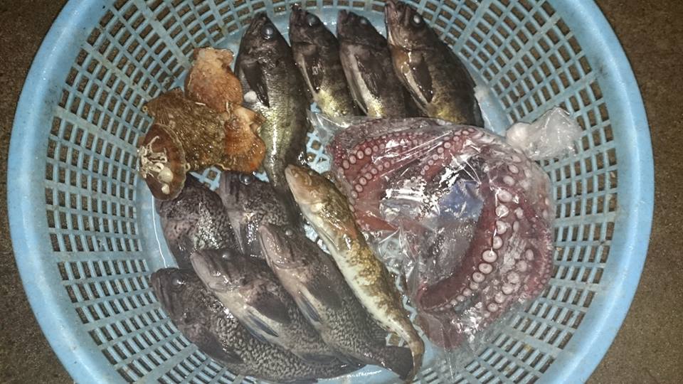 15977433_1910928372474470_2363043745597859667_n