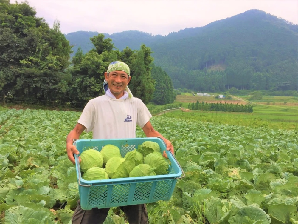 奈良県宇陀市｜類農園｜長谷暢二さんの生産者プロフィール｜ポケットマルシェ｜産直(産地直送)通販 - 旬の果物・野菜・魚介をお取り寄せ