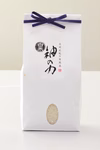 2025年産【ありがとう】水引付き「神の力」1kg白米桐箱風呂敷（梅の絆）