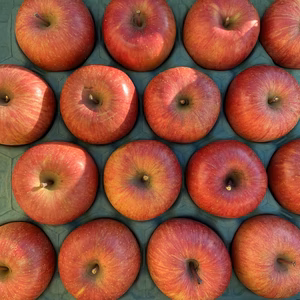 【お得】完熟サンふじ 蜜入り良好 人気の定番サイズです！