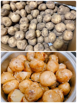 みんなの投稿の画像