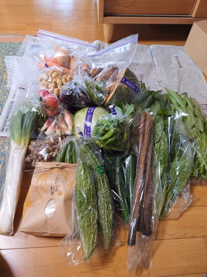 みんなの投稿の画像