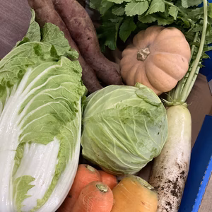 愛知から安心安全の旬な野菜をセットにしました