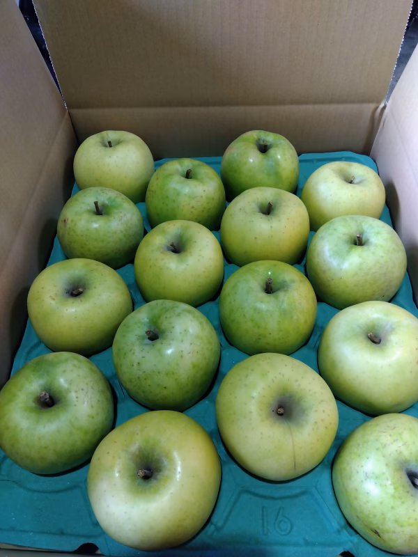 王林　シナノゴ−ルト゚詰め合せ5キロ