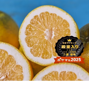 殿堂入りセール　河内晩かん　和のグレープフルーツ 　予約特価