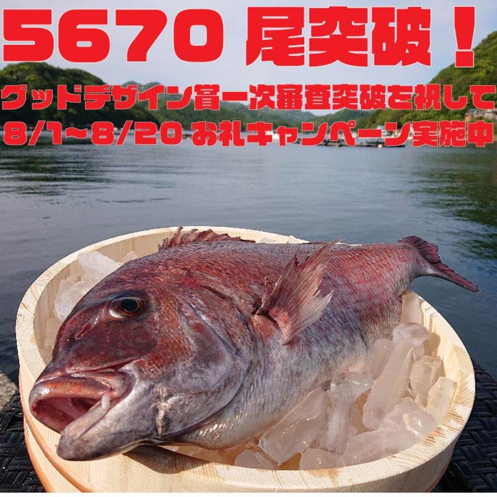 人が食すために育て上げた 特大真鯛 内臓 ウロコ処理済みか三枚おろし 友栄水産 農家漁師直送のポケットマルシェ