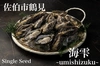 NEW❗️ひとくち真牡蠣【海雫~umishizuku~】殻付き生食用