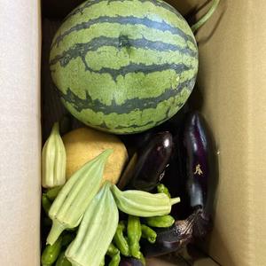 みかん農家が作る！　スイカ+野菜セット^_^！　　送料無料！！