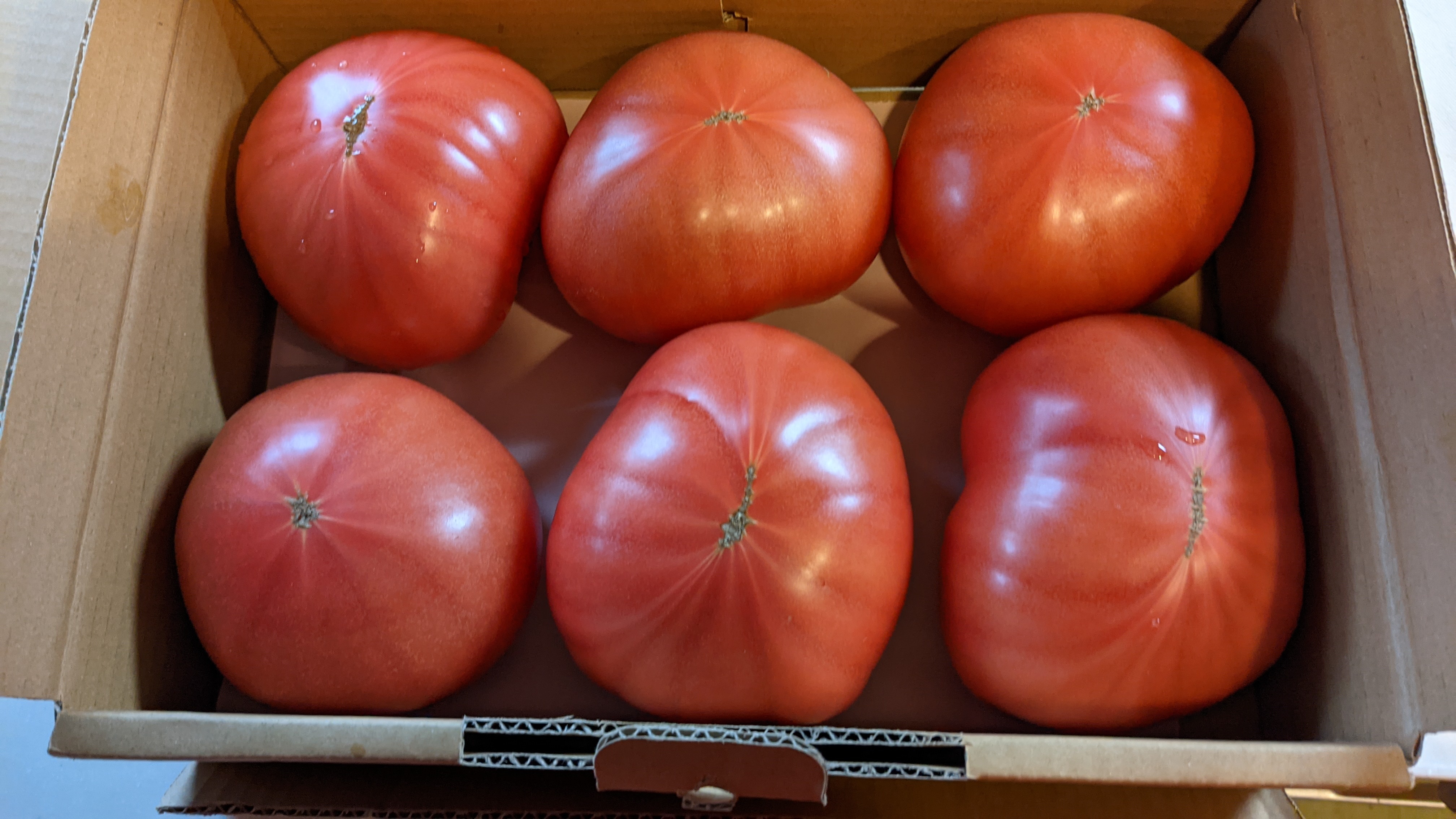 神奈川県茅ヶ崎市｜金子農園｜金子淳一さんのみんなの投稿｜ポケット