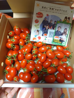 みんなの投稿の画像