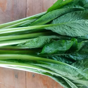 【宮崎県産】自然が生み出す旨い小松菜☆200g×5袋(1kg)