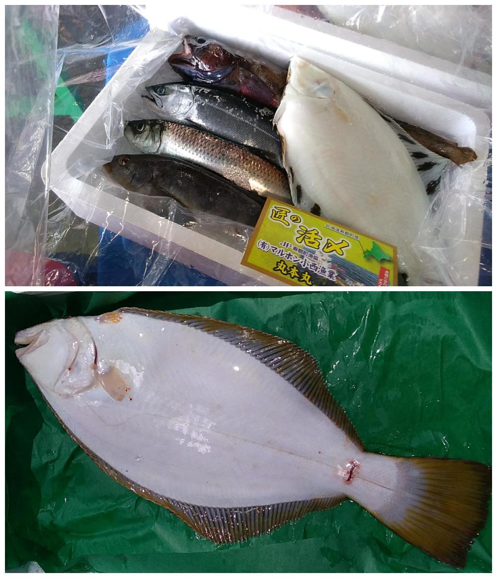 匠の活〆 ヒラメ入り魚詰め合わせセット 農家漁師から産地直送の通販 ポケットマルシェ