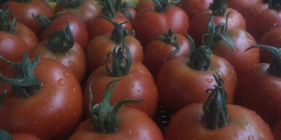 踊らない農民にはなりたくない