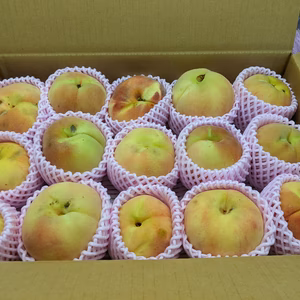 　桃　あかつきキズあり