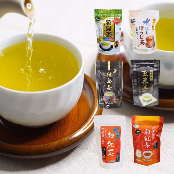 【お試しBOX】ティーバッグ６種類セット 20％OFF SET-005
