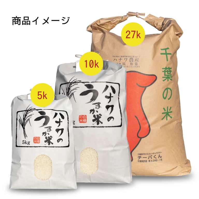 【新米：特別栽培米】コシヒカリ (精米) / 令和5年