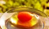 【父の日ギフト】卵かけご飯セット : 放し飼い有精卵+専用醤油120ｍｌ