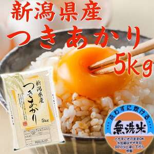 つきあかり&こしいぶき10kg(無洗米) 食べ比べセット令和二年産