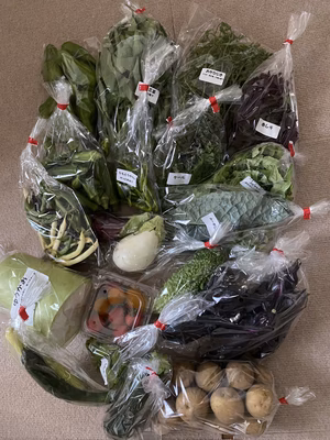 みんなの投稿の画像