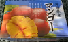 沖縄県産 マンゴー 1Kg(2-3玉)