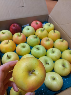 みんなの投稿の画像