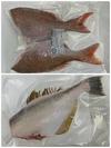 【玄界灘産】【天然】【高級魚】お刺身鮮度の冷凍真鯛＆肉厚ウスバハギセット